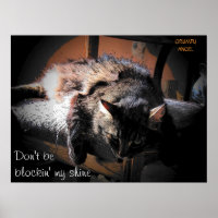 Blockin' my shire - Grumpy Angel