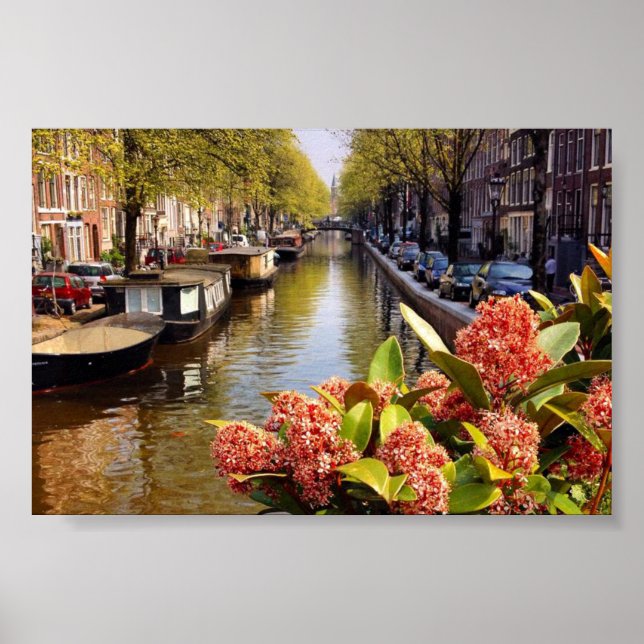 Poster Bloemgracht Amsterdam Canal Summer Photo (Devant)