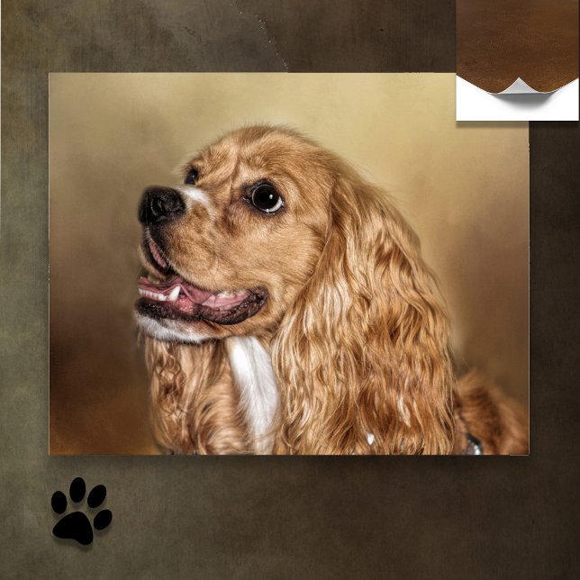 Poster Blonde Cocker Spaniel (Créateur téléchargé)
