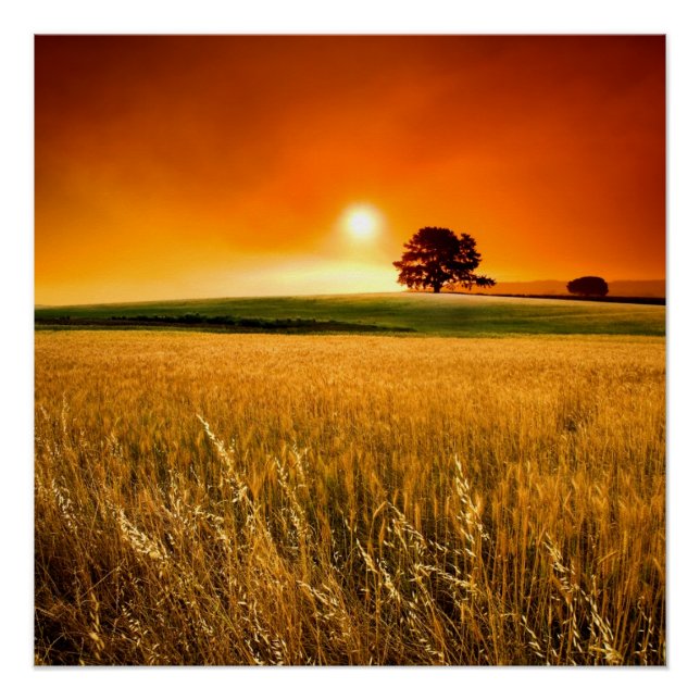 Poster Blood-Red Sunset (Devant)