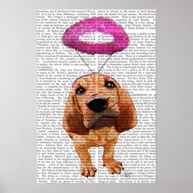 Poster Bloodhof Avec Halo Rose Angélique (Devant)