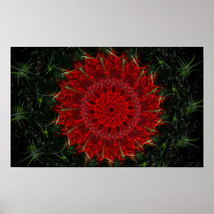 Poster Bloom du désert