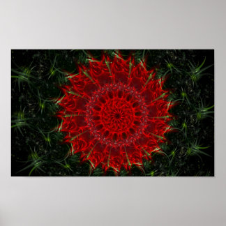 Poster Bloom du désert