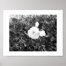 Poster Bloom Photographie noir et blanc