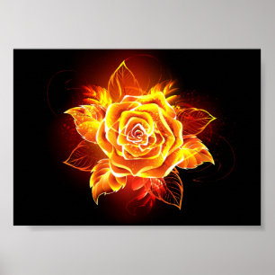 Poster Blooming Fire Rose