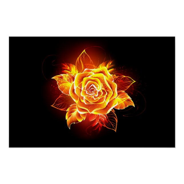Poster Blooming Fire Rose (Devant)