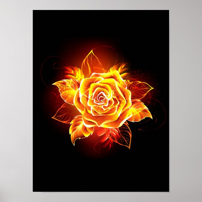 Poster Blooming Fire Rose (Devant)