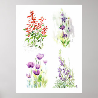 Poster Blooming Garden Quartet  Four Botanical Watercolor