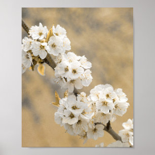 Poster Blossom Symphony Natures Ouverture