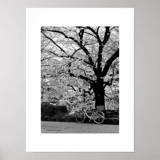 Poster Blossom & Vélo : Japon (Devant)