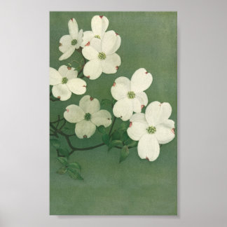 Poster Blossom vintage