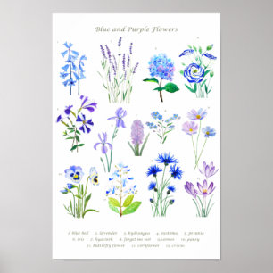 Poster blue and purple flower collection watercolor