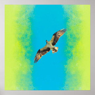 Poster Blue and yellow