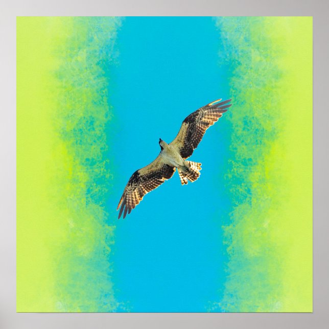 Poster Blue and yellow (Devant)