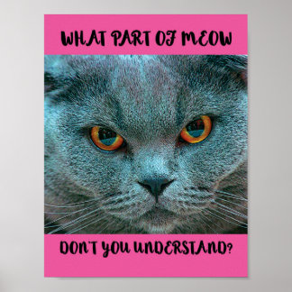 Poster Blue British Shorthair Cat drôle et humoristique