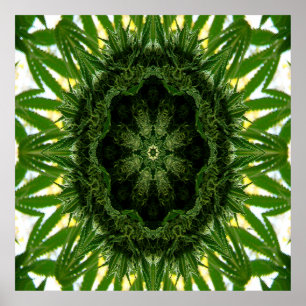 Poster Blue Dream Mandala...