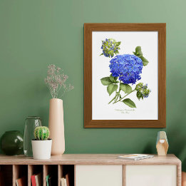 Poster Blue Hydrangea Original Art Print