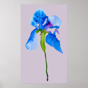 Poster Blue Iris moderne aquarelle florale art