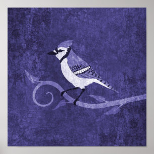 Poster Blue Jay