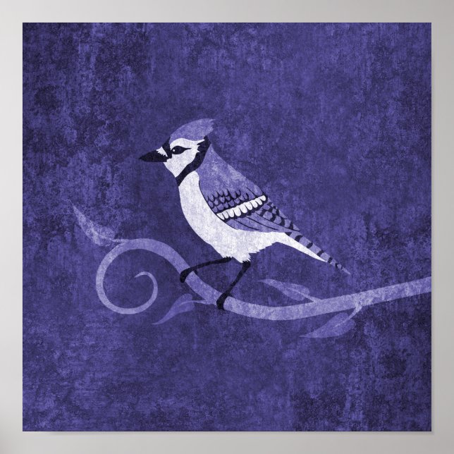 Poster Blue Jay (Devant)