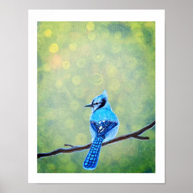 Poster Blue Jay Bird (Devant)