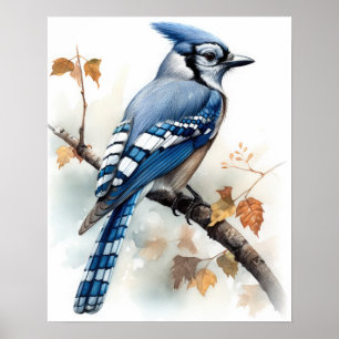 Poster Blue Jay Bird Art Imprimer l'affiche