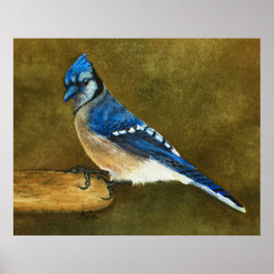 Poster Blue Jay Print