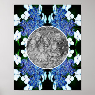 Poster Blue Lacecap Hydrangea Flower Frame Ajouter Votre 