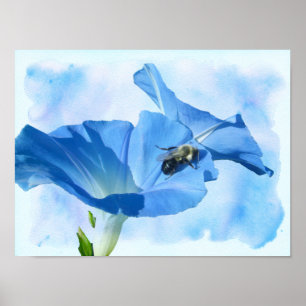 Poster Blue Morning Glory and Bumblebee