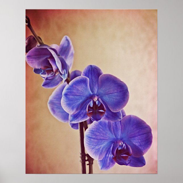 Poster Blue Orchid Photographie d'Art (Devant)