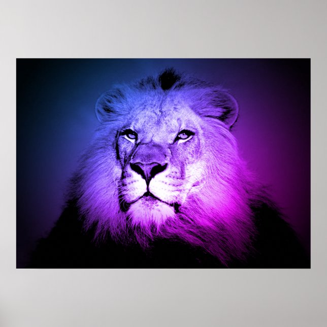 Poster Blue Pop Art Lion - Wild Animal Photographie (Devant)