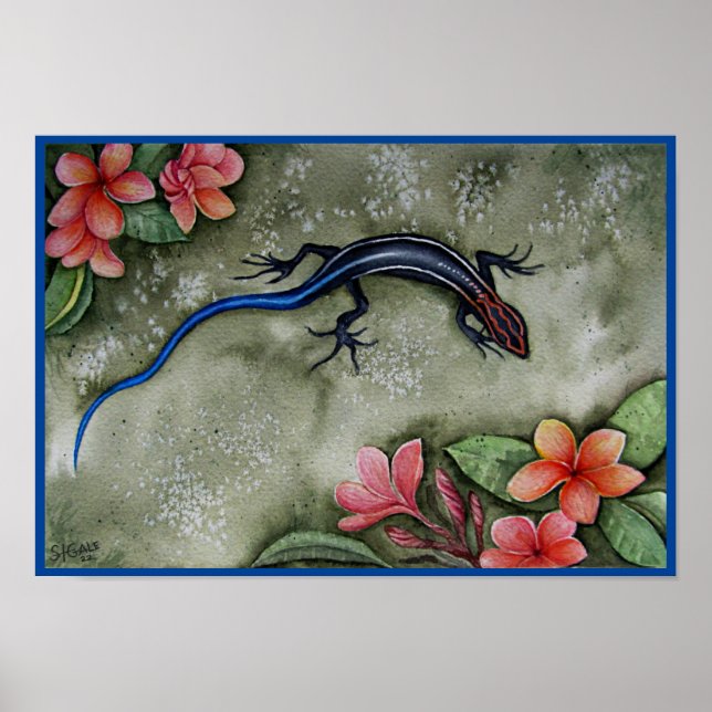 Poster Blue Racer Skink (Devant)