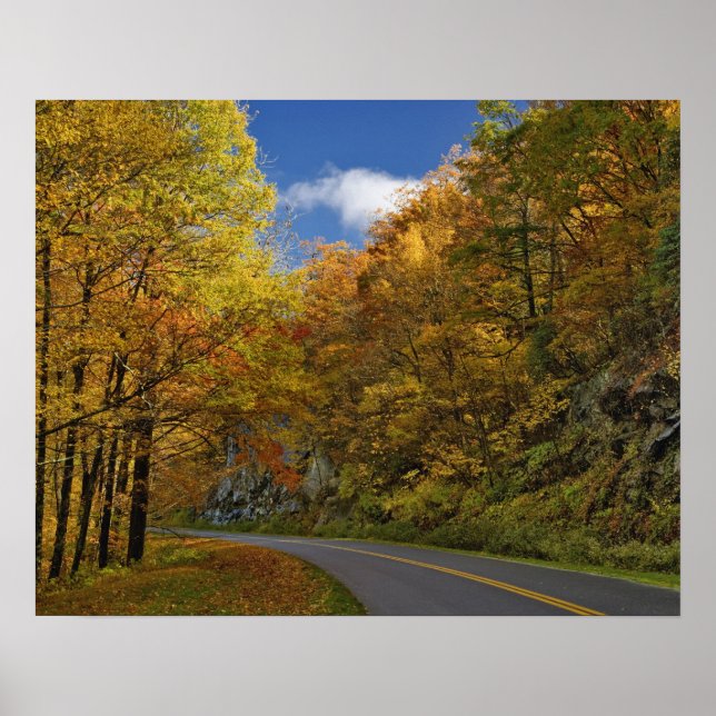 Poster Blue Ridge Parkway courbe à travers les couleurs d (Devant)