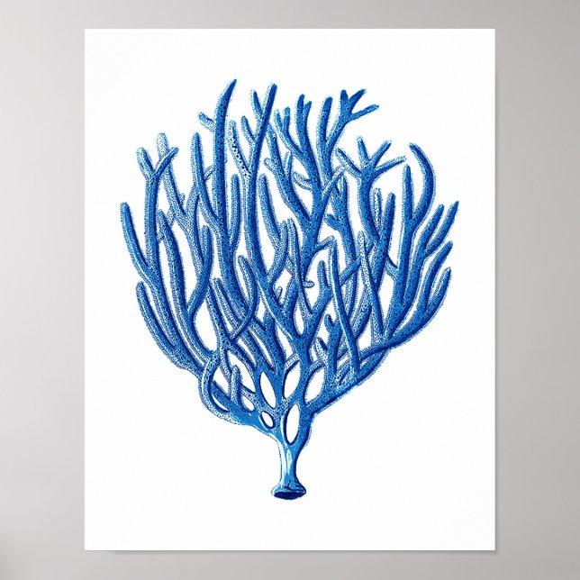 Poster Blue Sea Coral Art Imprimer #1 Beach House Wall Ar (Devant)