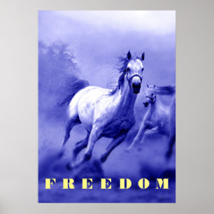 Poster Blue Wild Horses Motivation Freedom Artwork