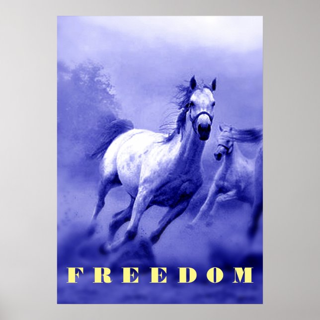 Poster Blue Wild Horses Motivation Freedom Artwork (Devant)