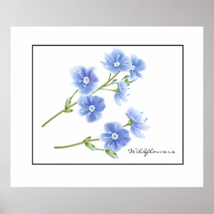 Poster-Blue-Wildblumen Poster