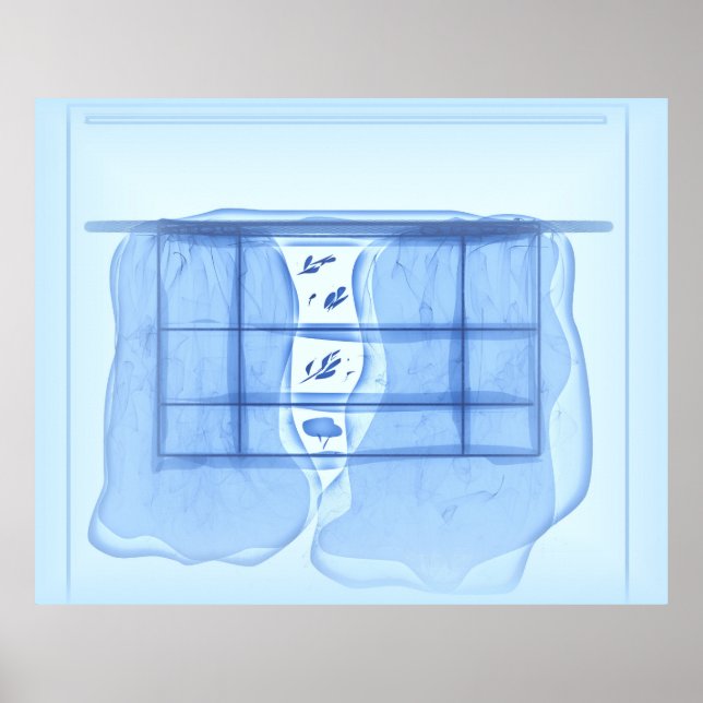 Poster Blue window. (Devant)