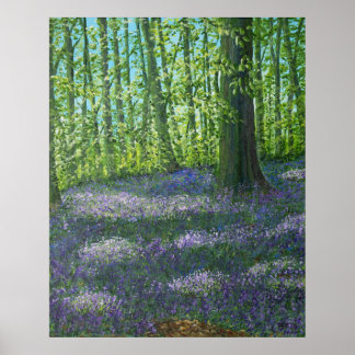 Poster Bluebell Wood