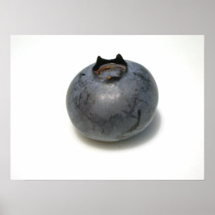 Poster Blueberries que je connais 13