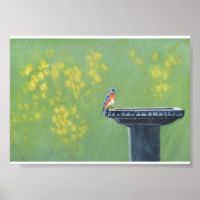 Poster Bluebird dans la pluie (Devant)