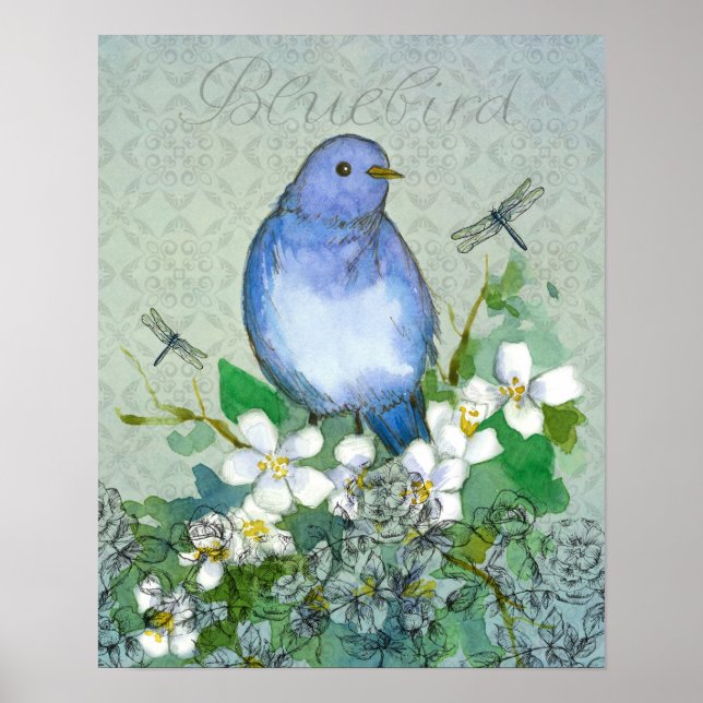Poster Bluebird Flower Dragonflies Syringa (Devant)