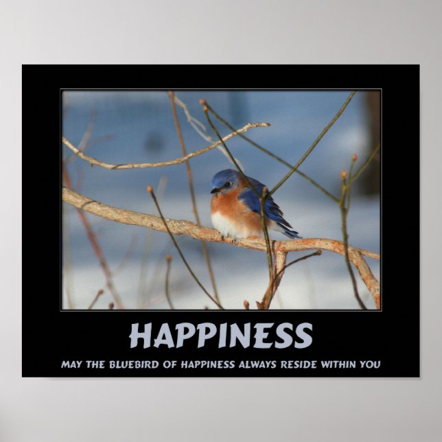 Poster Bluebird Of Happiness Inspiration (Devant)