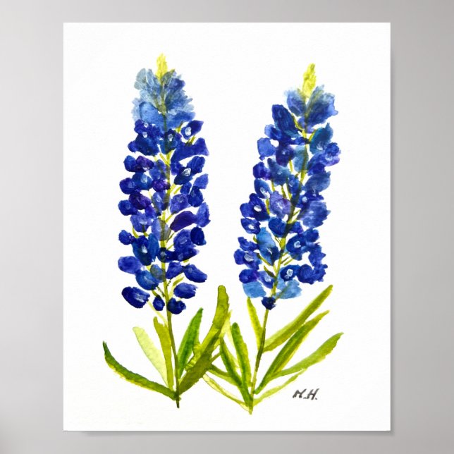 Poster Bluebonnets Texas State Flowers Lupine Watercolor (Devant)
