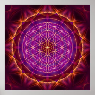 Poster Blume des Lebens mit Lila-goldenem Mandala