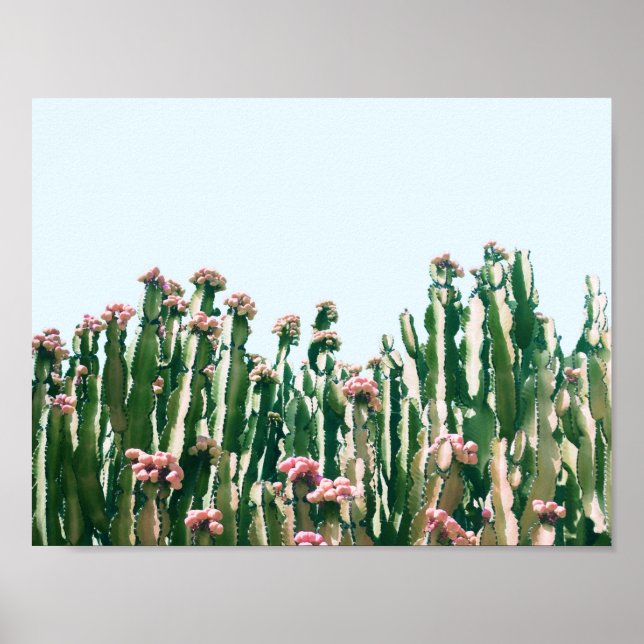 Poster Blush Cactus (Devant)