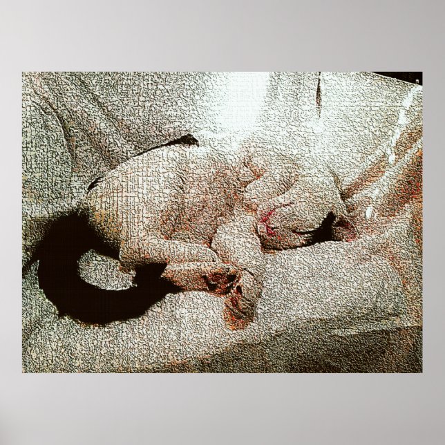 Poster Bob Classique (Devant)