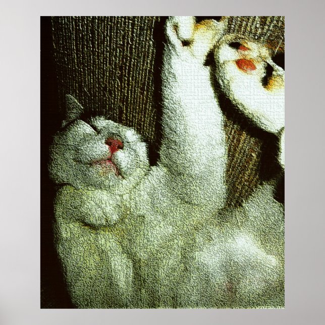Poster Bob faisant une sieste (Devant)