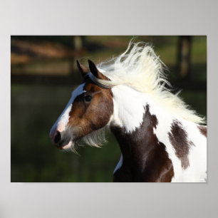 Poster Bob Langrish Capture d'écran du Cheval du Tambou