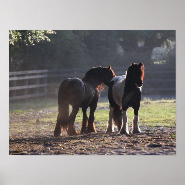 Poster Bob Langrish | Deux Vannières Tsiganes En Champ Ré (Devant)